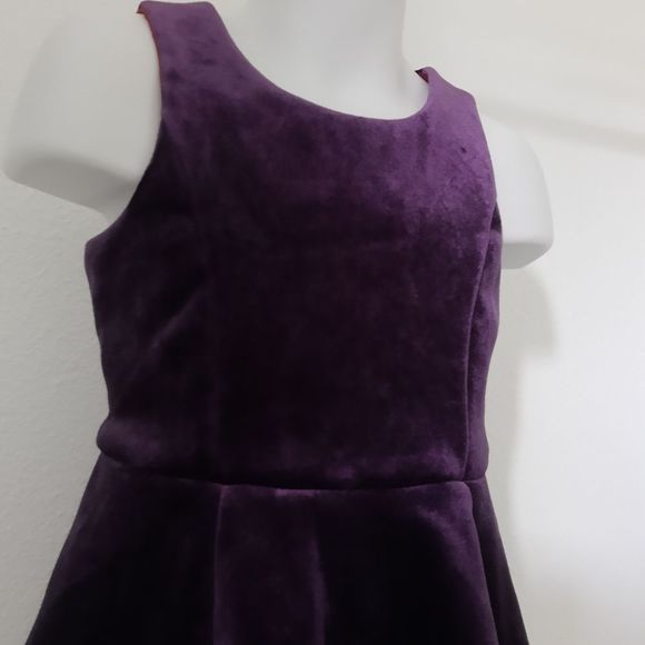NWOT Velvet Purple Dress - Picture 3 of 5